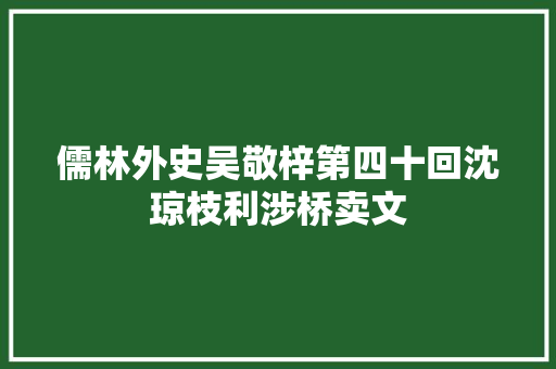 儒林外史吴敬梓第四十回沈琼枝利涉桥卖文