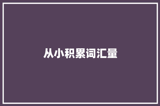 从小积累词汇量，助力孩子未来成功之路_从小给孩子积累词汇量