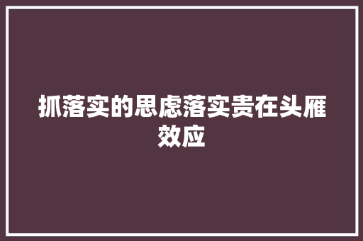 抓落实的思虑落实贵在头雁效应