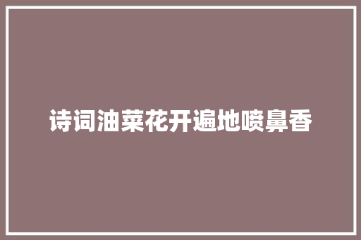 诗词油菜花开遍地喷鼻香