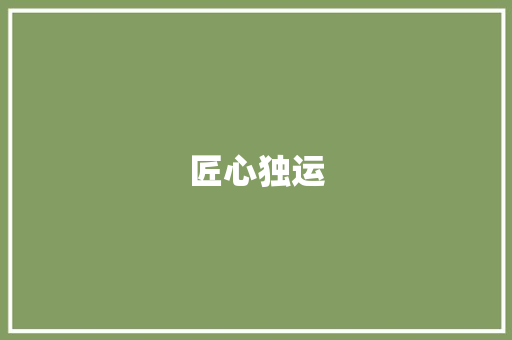匠心独运，砥砺前行_以个人简历为例展示职业素养与技能_标准个人简历范文
