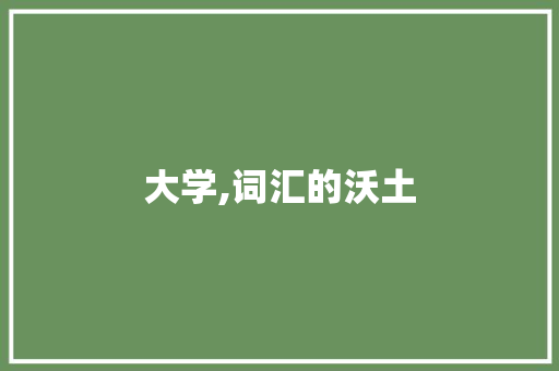 大学,词汇的沃土，知识的海洋_大学在哪积累词汇