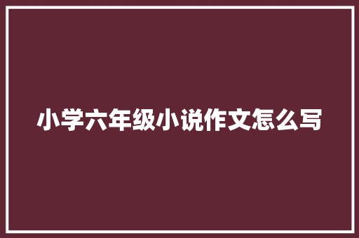 小学六年级小说作文怎么写