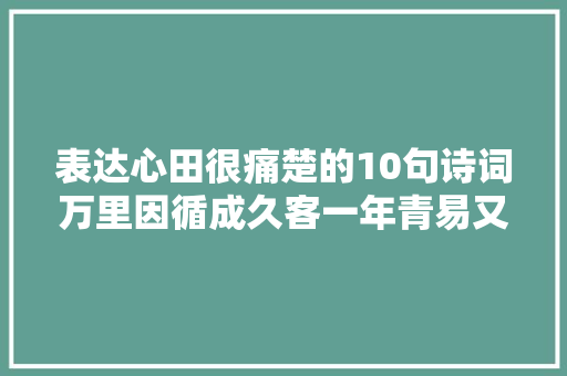 表达心田很痛楚的10句诗词万里因循成久客一年青易又秋风