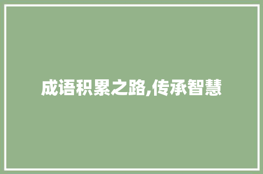 成语积累之路,传承智慧，提升语文素养_如何积累成语词汇