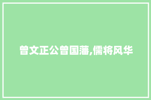 曾文正公曾国藩,儒将风华，治国经邦的典范_历史人物曾国藩介绍