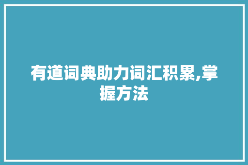 有道词典助力词汇积累,掌握方法，开启高效学习之旅_有道词典如何积累词汇量