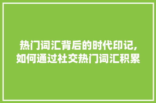热门词汇背后的时代印记,如何通过社交热门词汇积累写作素材_社交热门词汇怎么积累