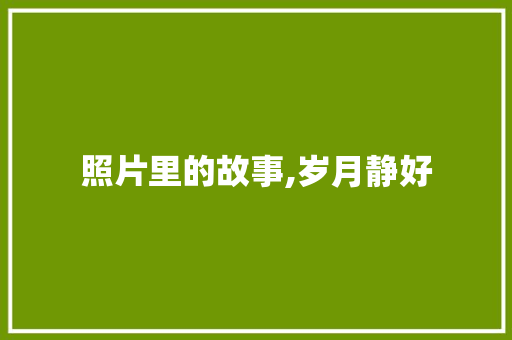照片里的故事,岁月静好，青春无悔_照片里的故事600字初中作文