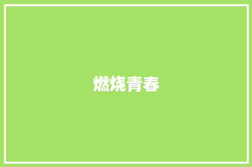 燃烧青春，热血铸就辉煌_青春励志高燃之旅_青春励志高燃热血作文