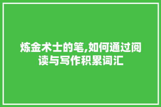 炼金术士的笔,如何通过阅读与写作积累词汇，丰富小说创作_写小说如何积累词汇