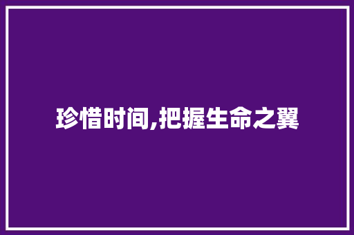珍惜时间,把握生命之翼，翱翔于梦想的天空_演讲稿《珍惜时间》