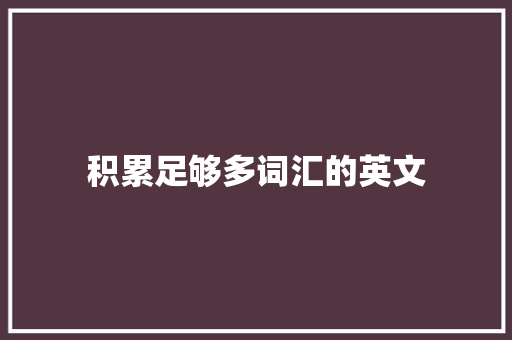 积累足够多词汇的英文