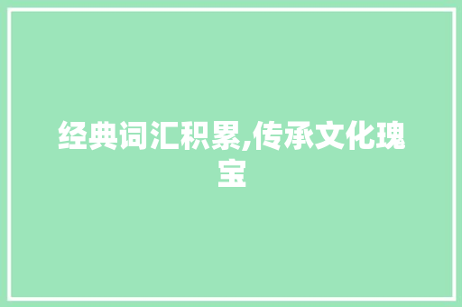 经典词汇积累,传承文化瑰宝，丰富语言魅力_经典词汇积累大全图片