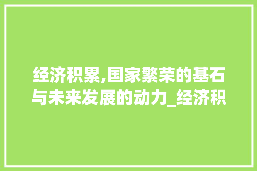 经济积累,国家繁荣的基石与未来发展的动力_经济积累是什么词汇