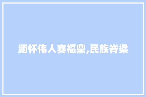 缅怀伟人赛福鼎,民族脊梁，永垂不朽_赛福鼎遗体告别