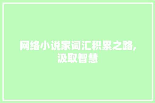 网络小说家词汇积累之路,汲取智慧，铸就精彩_网络小说家怎么积累词汇
