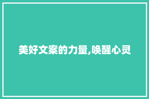 美好文案的力量,唤醒心灵,点亮生活_词汇积累美好文案摘抄 美好文案的力量,唤醒心灵,点亮生活_词汇积累美好文案摘抄