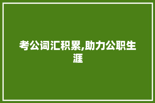 考公词汇积累,助力公职生涯，塑造未来_考公词汇积累有必要吗