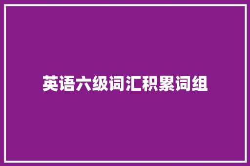英语六级词汇积累词组