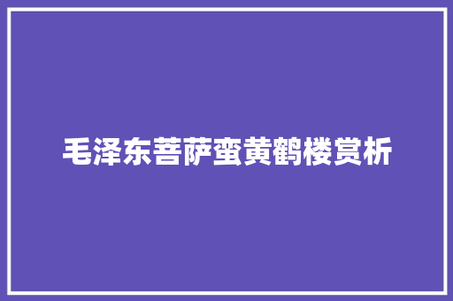 毛泽东菩萨蛮黄鹤楼赏析