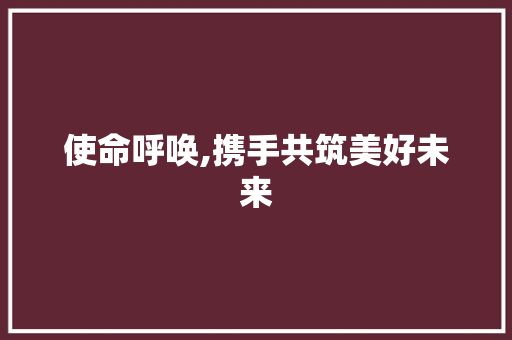 使命呼唤,携手共筑美好未来