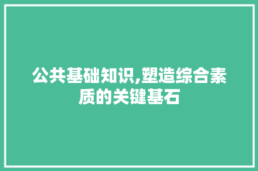 公共基础知识,塑造综合素质的关键基石