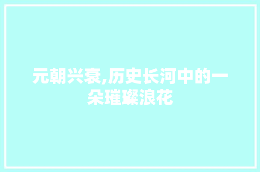 元朝兴衰,历史长河中的一朵璀璨浪花