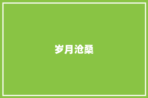 岁月沧桑，渔夫的坚韧与荣耀_老渔夫圣地亚哥的外貌描写