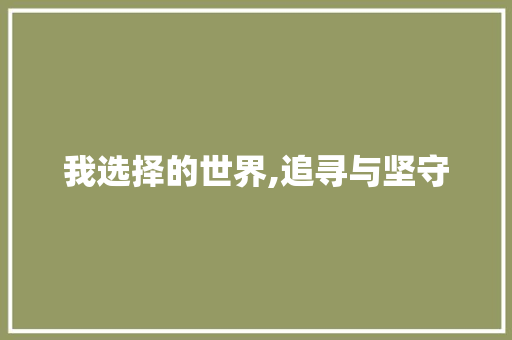 我选择的世界,追寻与坚守