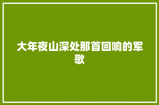 大年夜山深处那首回响的军歌