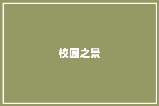 校园之景，青春之韵