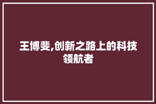 王博斐,创新之路上的科技领航者