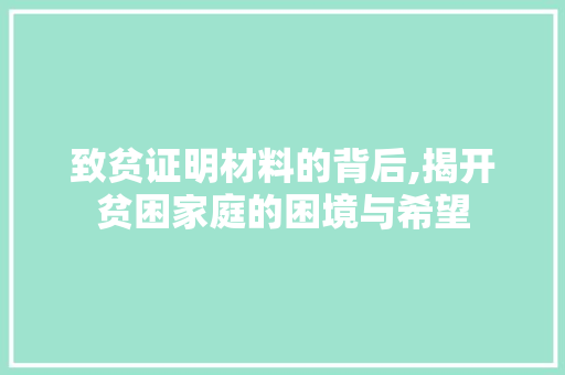 致贫证明材料的背后,揭开贫困家庭的困境与希望