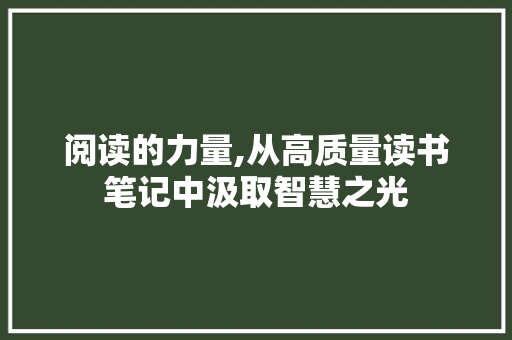 阅读的力量,从高质量读书笔记中汲取智慧之光