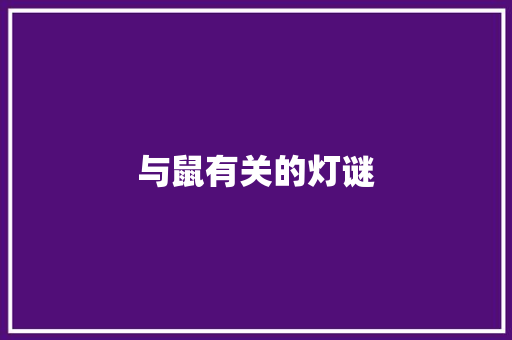 与鼠有关的灯谜