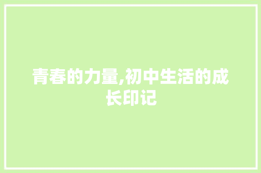 青春的力量,初中生活的成长印记