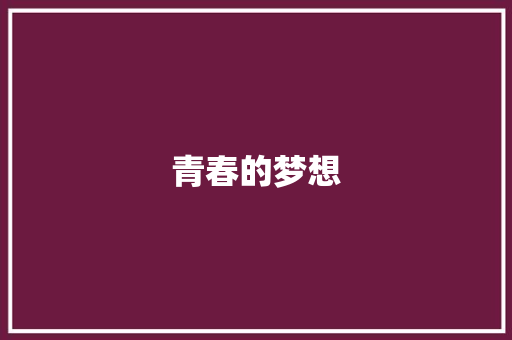 青春的梦想，照亮前行的路_青春与梦想为题的作文600字