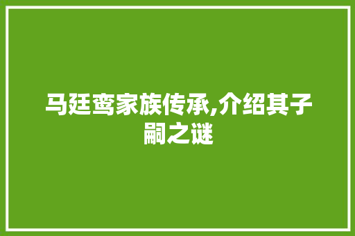 马廷鸾家族传承,介绍其子嗣之谜