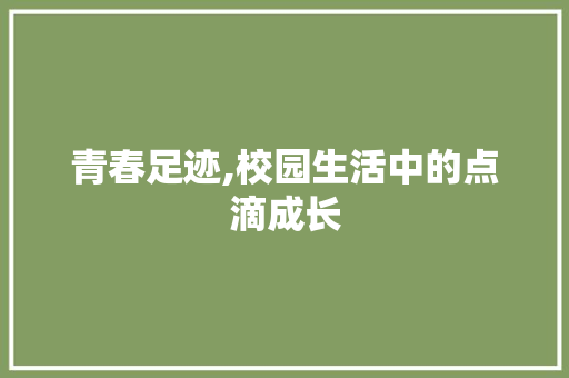 青春足迹,校园生活中的点滴成长