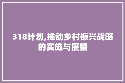 318计划,推动乡村振兴战略的实施与展望