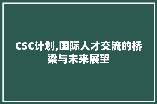 CSC计划,国际人才交流的桥梁与未来展望