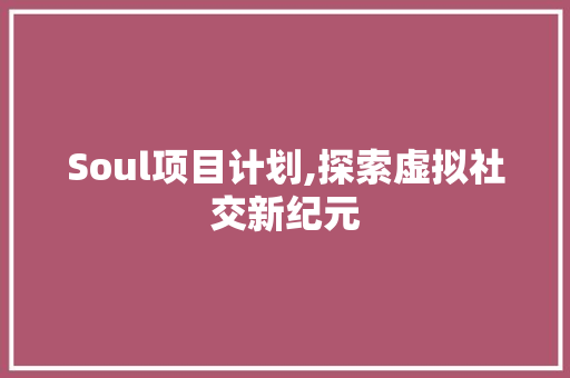 Soul项目计划,探索虚拟社交新纪元
