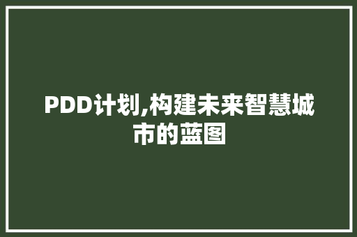 PDD计划,构建未来智慧城市的蓝图