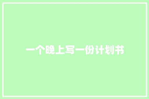 一个晚上写一份计划书