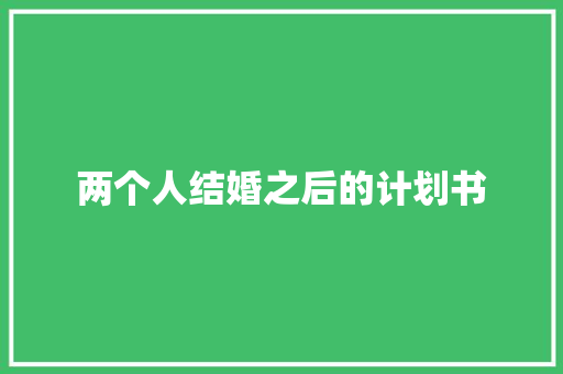 两个人结婚之后的计划书