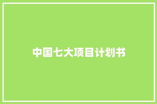 中国七大项目计划书