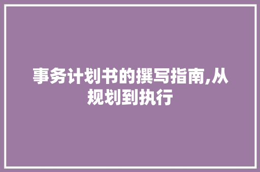 事务计划书的撰写指南,从规划到执行，实现高效管理