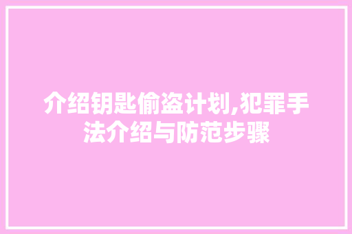 介绍钥匙偷盗计划,犯罪手法介绍与防范步骤
