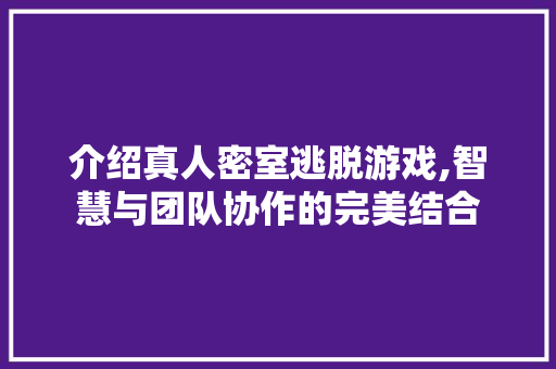 介绍真人密室逃脱游戏,智慧与团队协作的完美结合
